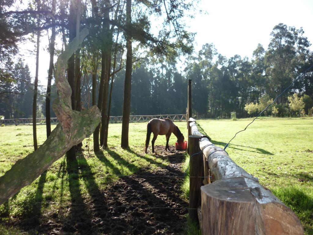 Hacienda La Carriona Hotel Sangolquí Eksteriør billede