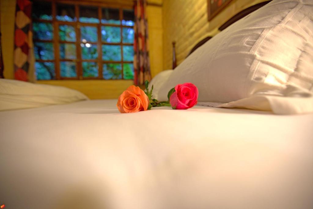 Hacienda La Carriona Hotel Sangolquí Eksteriør billede