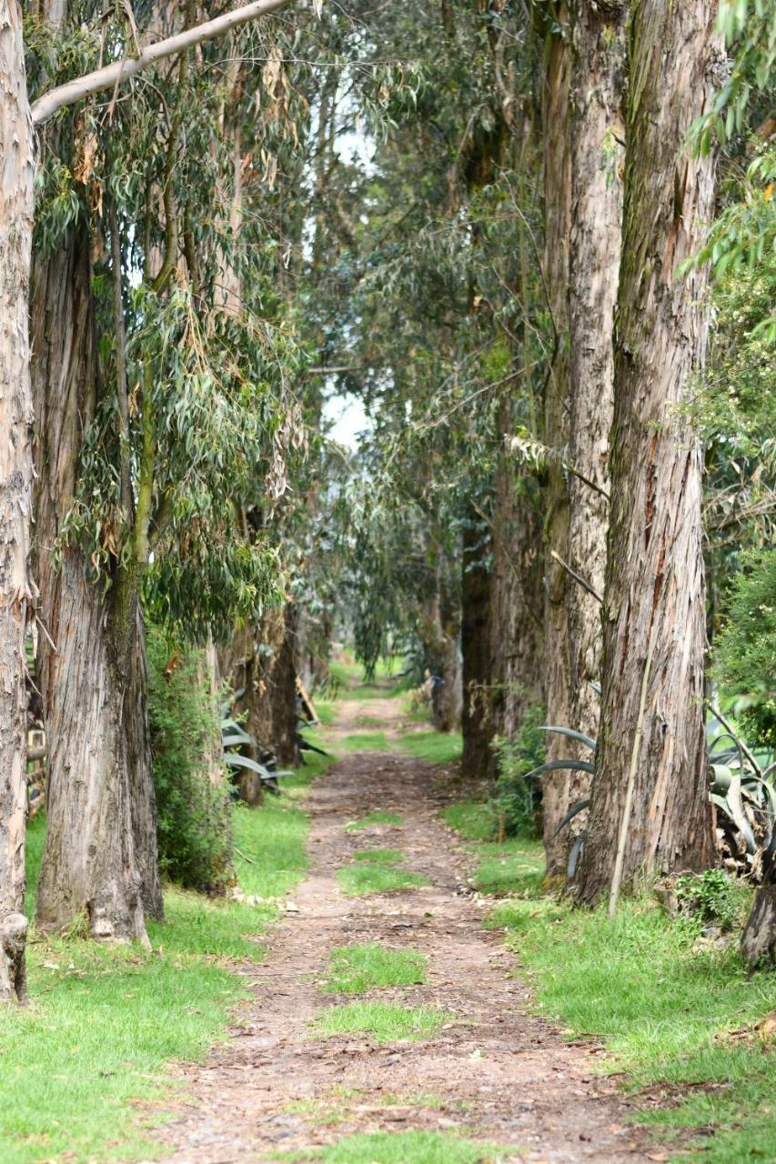 Hacienda La Carriona Hotel Sangolquí Eksteriør billede